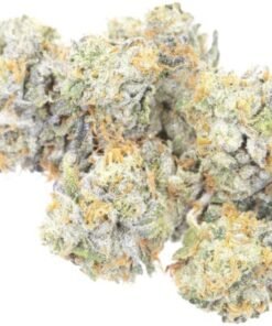 Buy Banana Mochi Strain