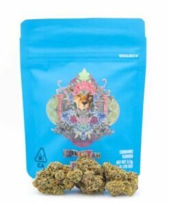 Cheetah Piss Cookies Strain