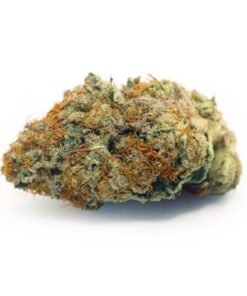 Buy Fritter Mintz Strain