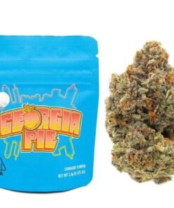 Buy Georgia Pie Strain