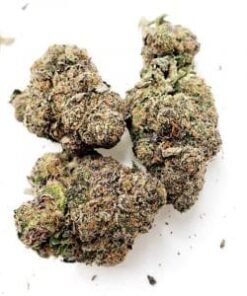 Buy Obama Runtz Online