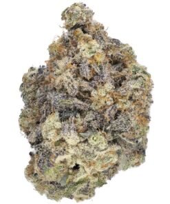 Buy White Runtz Online