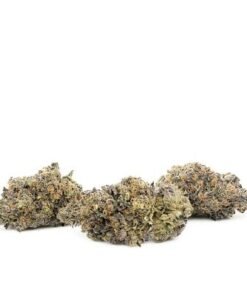 Ice Cream Cake Sungrown 1/8oz