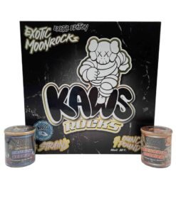 KAWS EXOTIC MOONROCKS