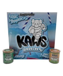 KAWS SLURPEE MOONROCKS