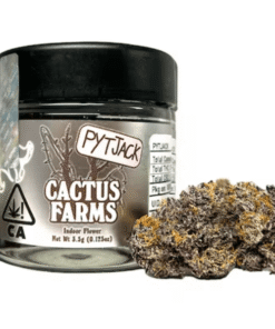 PYT JACK 1/8oz Indoor Bag 1/8 oz